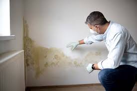 Mold Documentation for Insurance Claims in South Congaree, SC